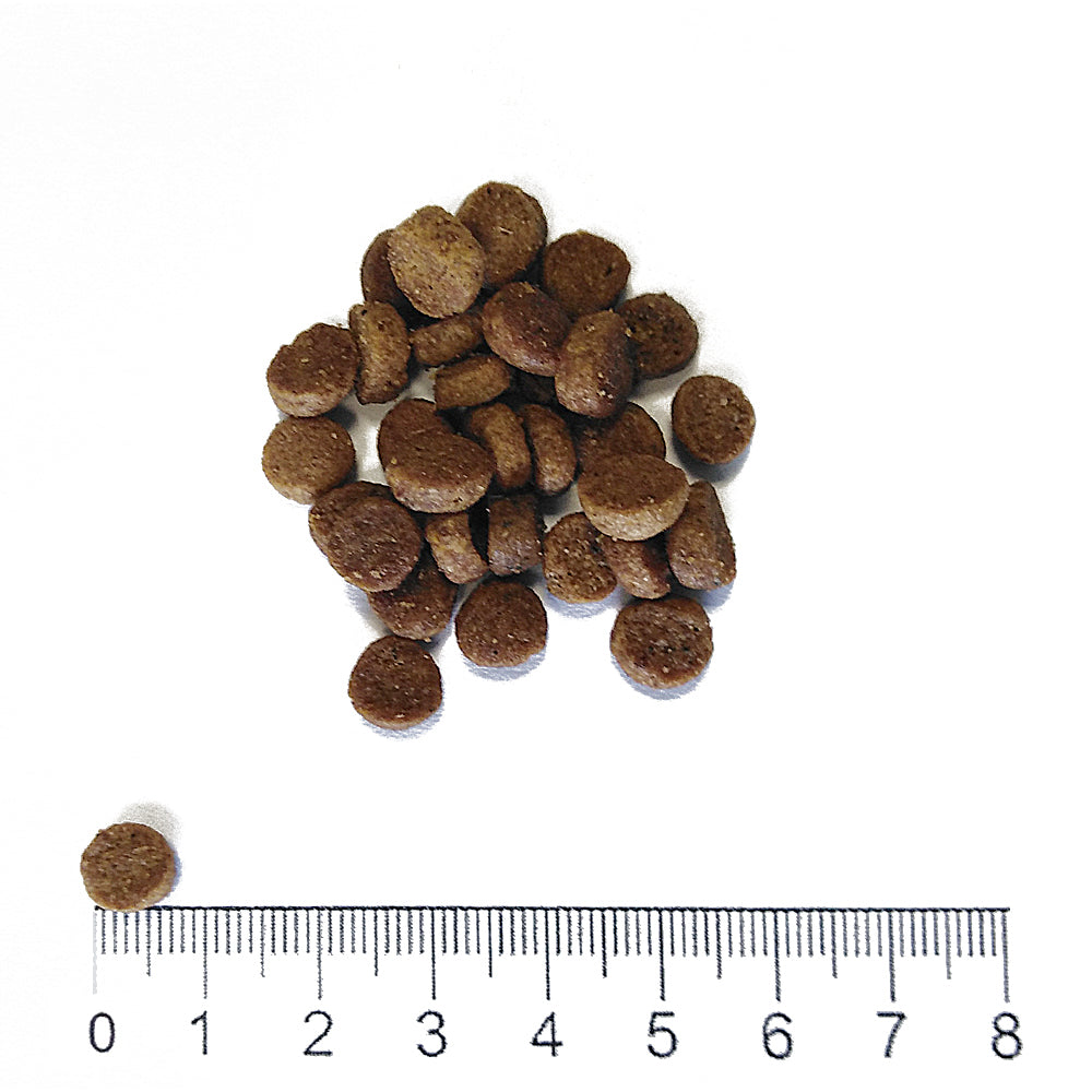 Crocchette Prolife Life Style Kitten Pollo E Riso 1,5 kg per gattini da 1 a 12 mesi Crocchette Prolife Life Style Kitten Pollo E Riso 1,5 kg per gattini da 1 a 12 mesi